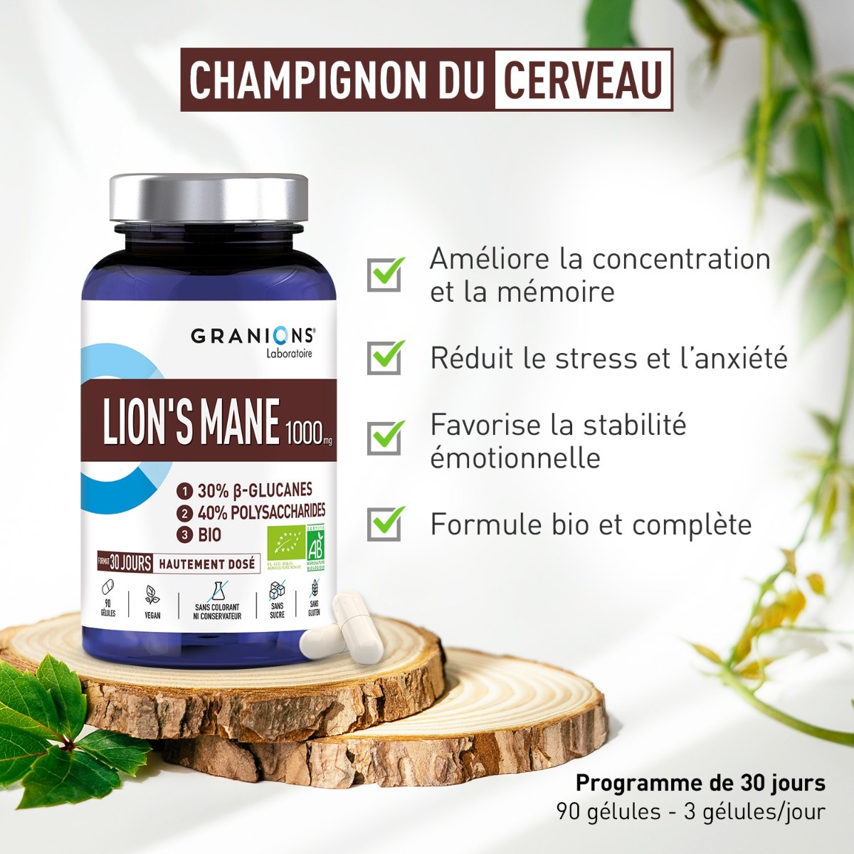 Granions - Lion's Mane 1000mg - Champignon du cerveau