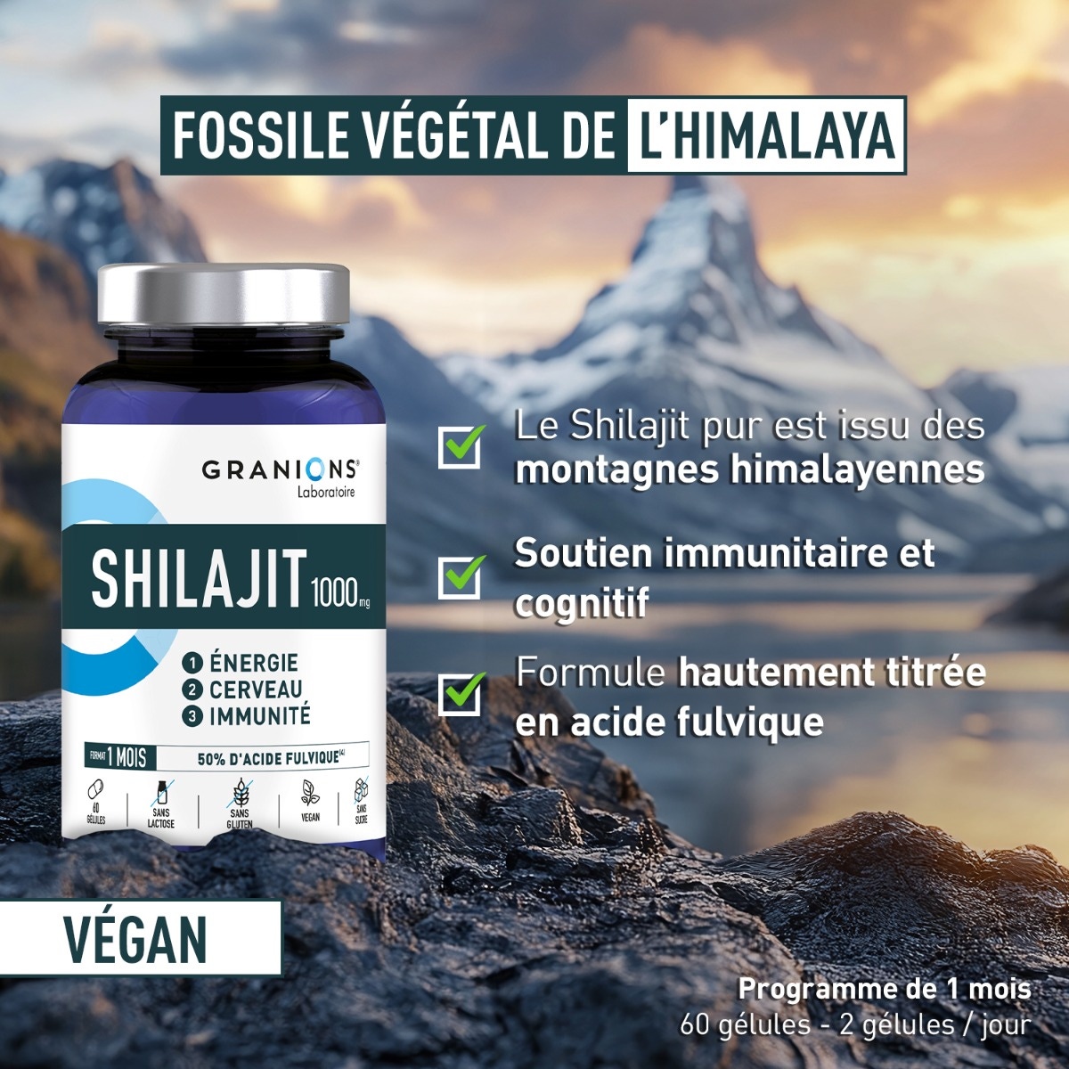Granions Shilajit 1000 mg