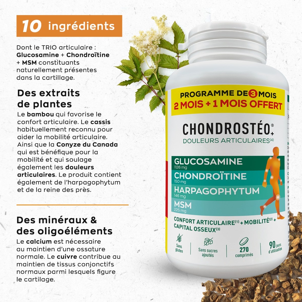Chondrostéo + 180 comprimidos