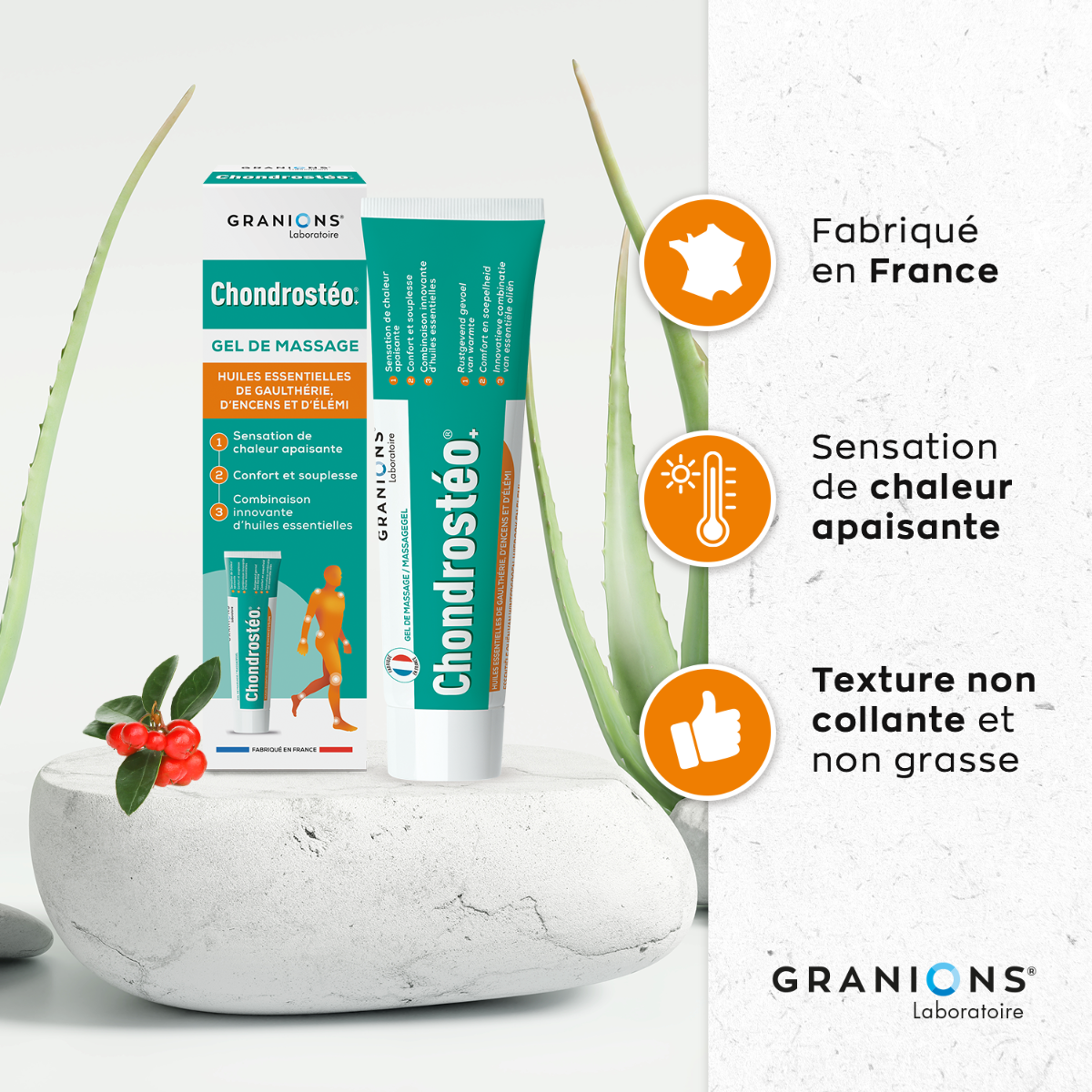 Dúo Chondrostéo 90 cp + Gel OFERTA