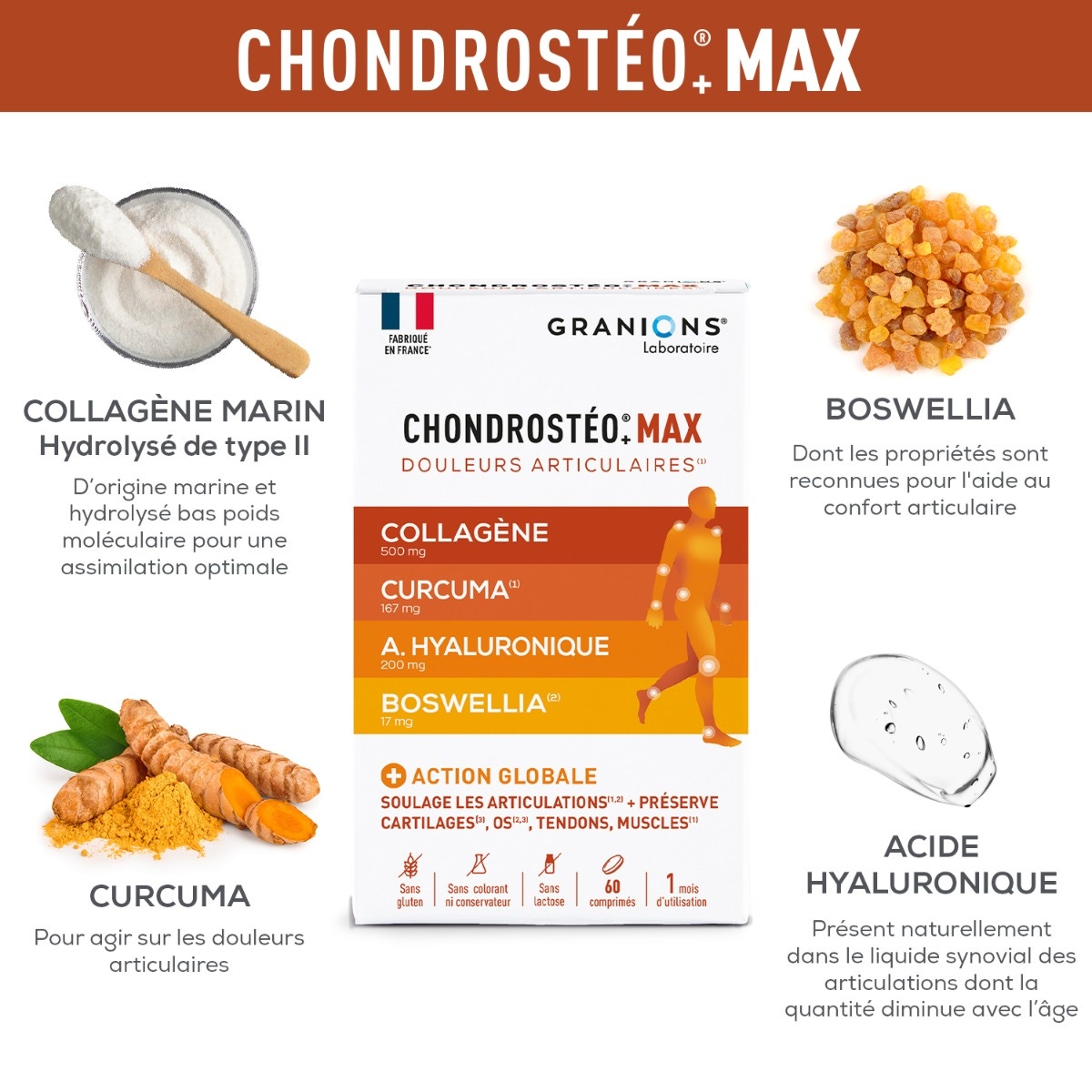 Chondrostéo Max actifs