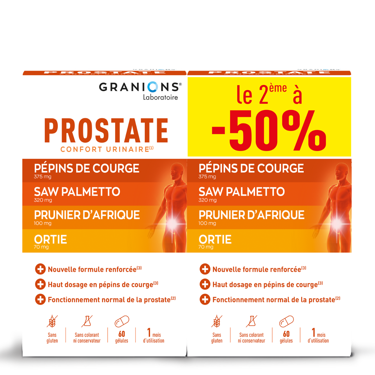 Lote de 2 granions de próstata
