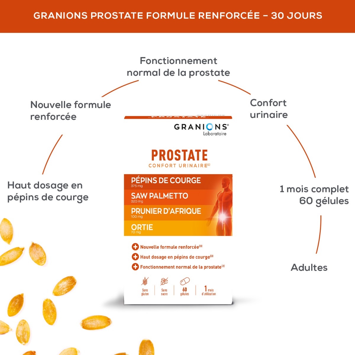 Lote de 2 granions de próstata