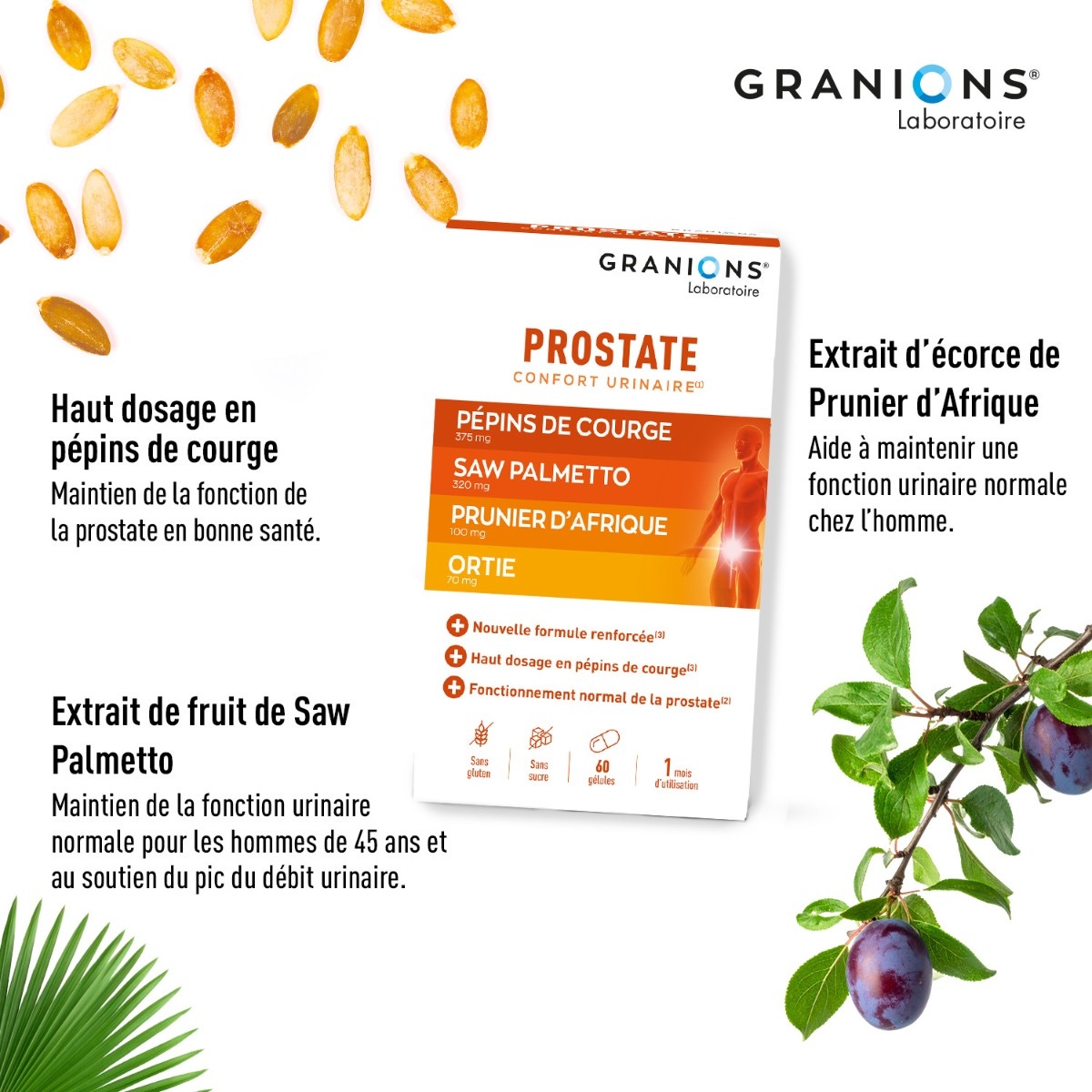 Granions Prostate 
Confort urinaire