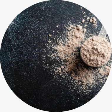 Protein 90 pour une sèche réussie